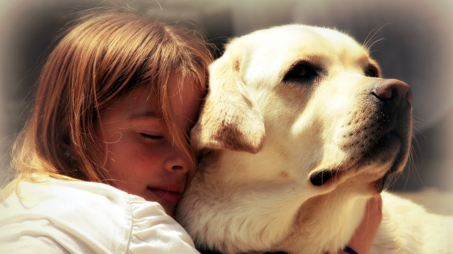 Chien et son maitre