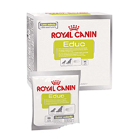 perte de poils chien