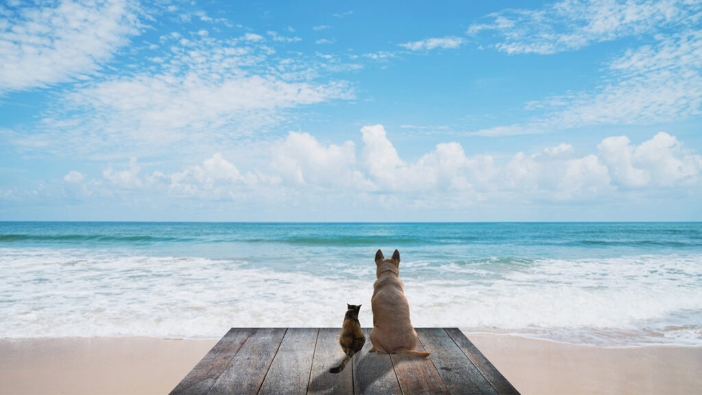 vacances avec animaux