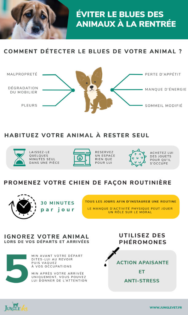 le blues des animaux