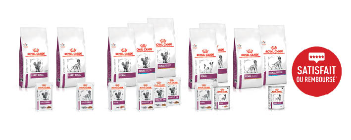 Alimentation pour animaux avec maladie rénale chronique