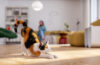 Étirement de chat